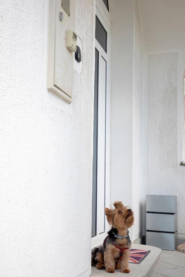 Apartment Vita 里耶卡 外观 照片